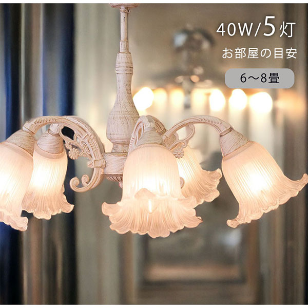 シーリングランプ ロクサーヌ 5灯 ホワイト DL16677-5C-WGD - 天井照明