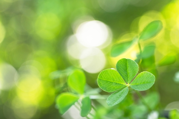 季節・ライフステージ